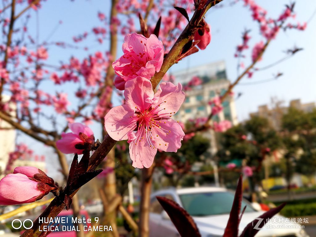 华为mate9上班途中随拍