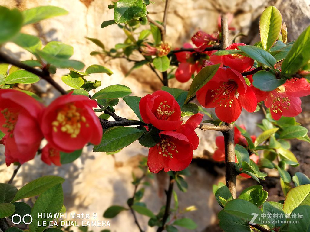 华为mate9上班途中随拍