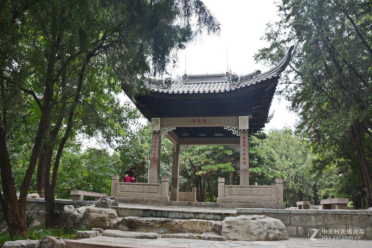 哪顾头顶纷纷雨，附庸风雅拍名亭