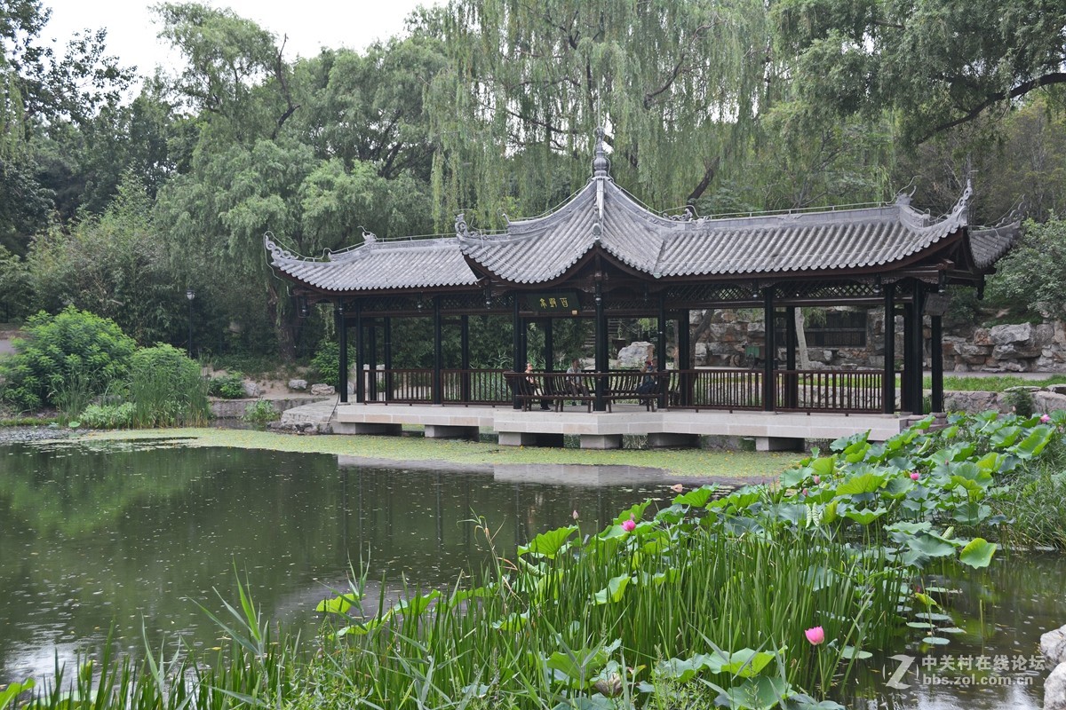 哪顾头顶纷纷雨，附庸风雅拍名亭