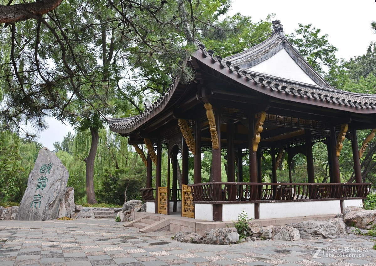哪顾头顶纷纷雨，附庸风雅拍名亭