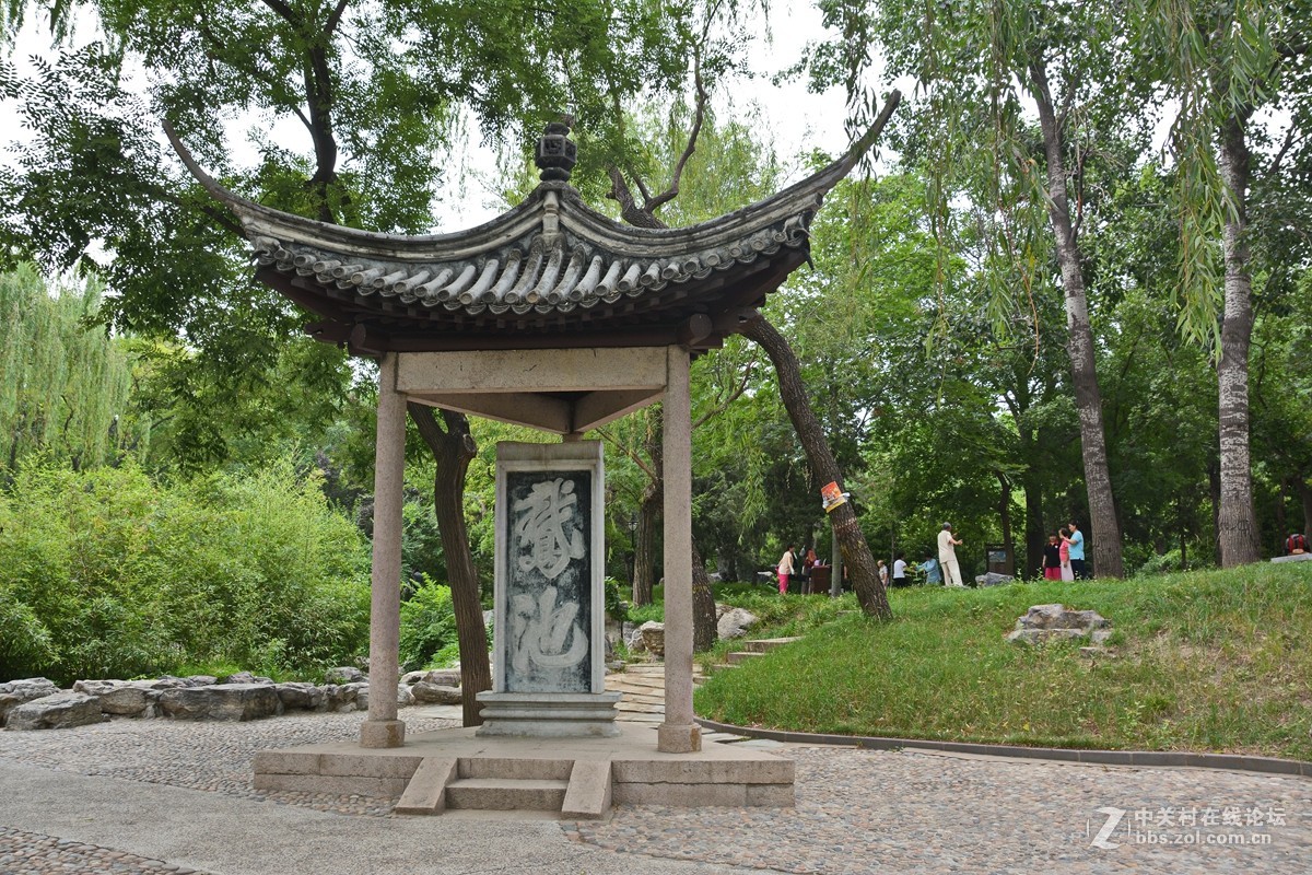 哪顾头顶纷纷雨，附庸风雅拍名亭