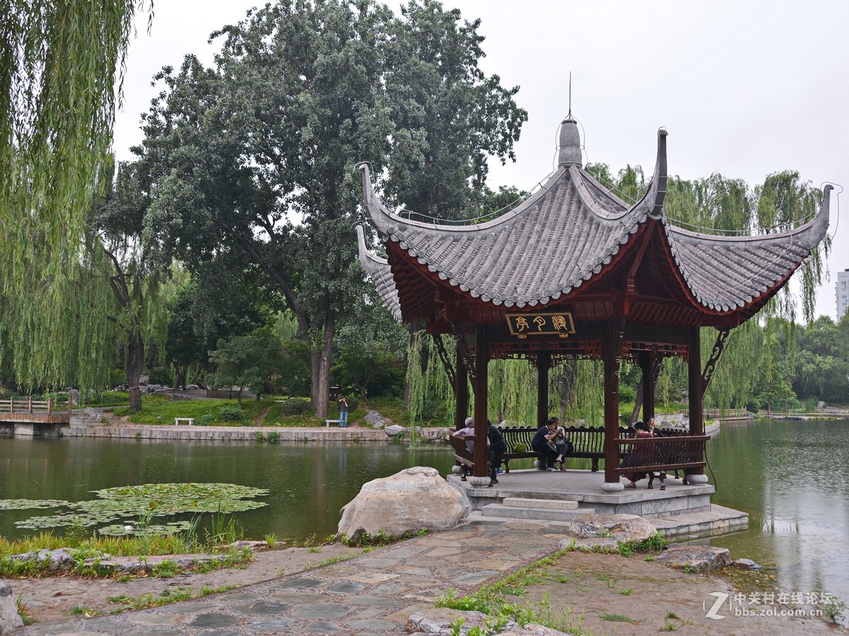 哪顾头顶纷纷雨，附庸风雅拍名亭