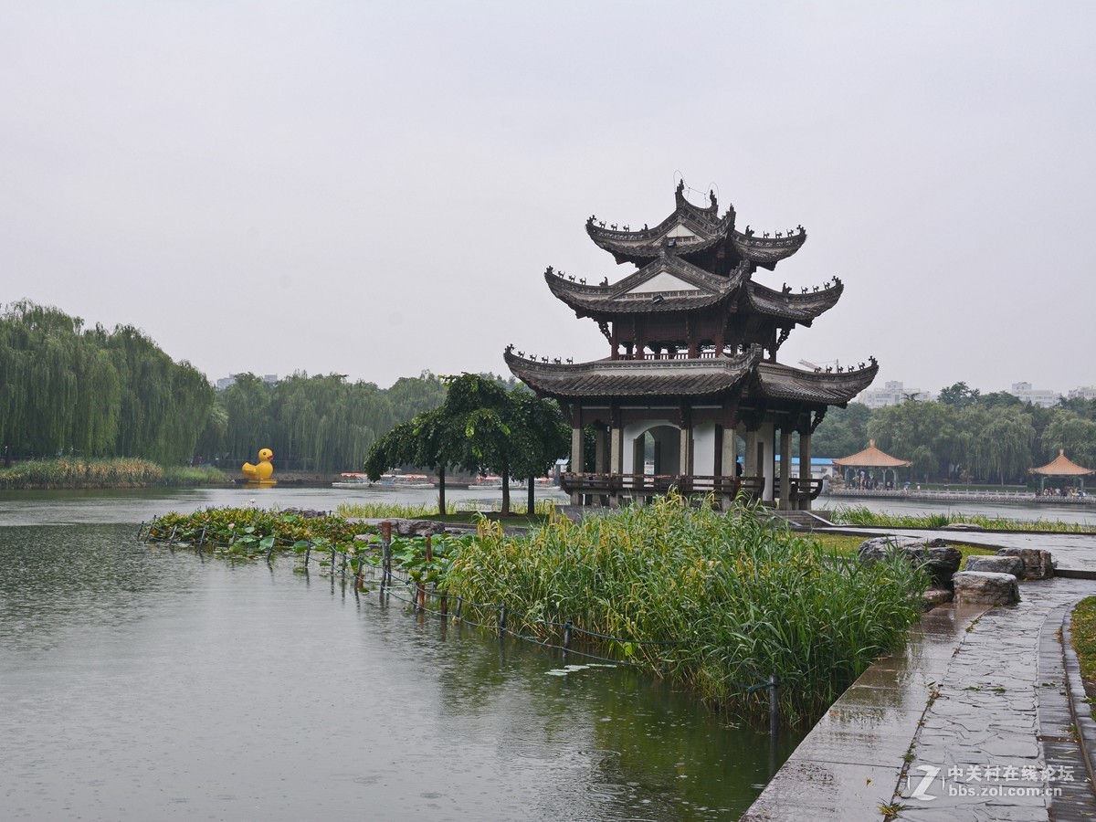 哪顾头顶纷纷雨，附庸风雅拍名亭