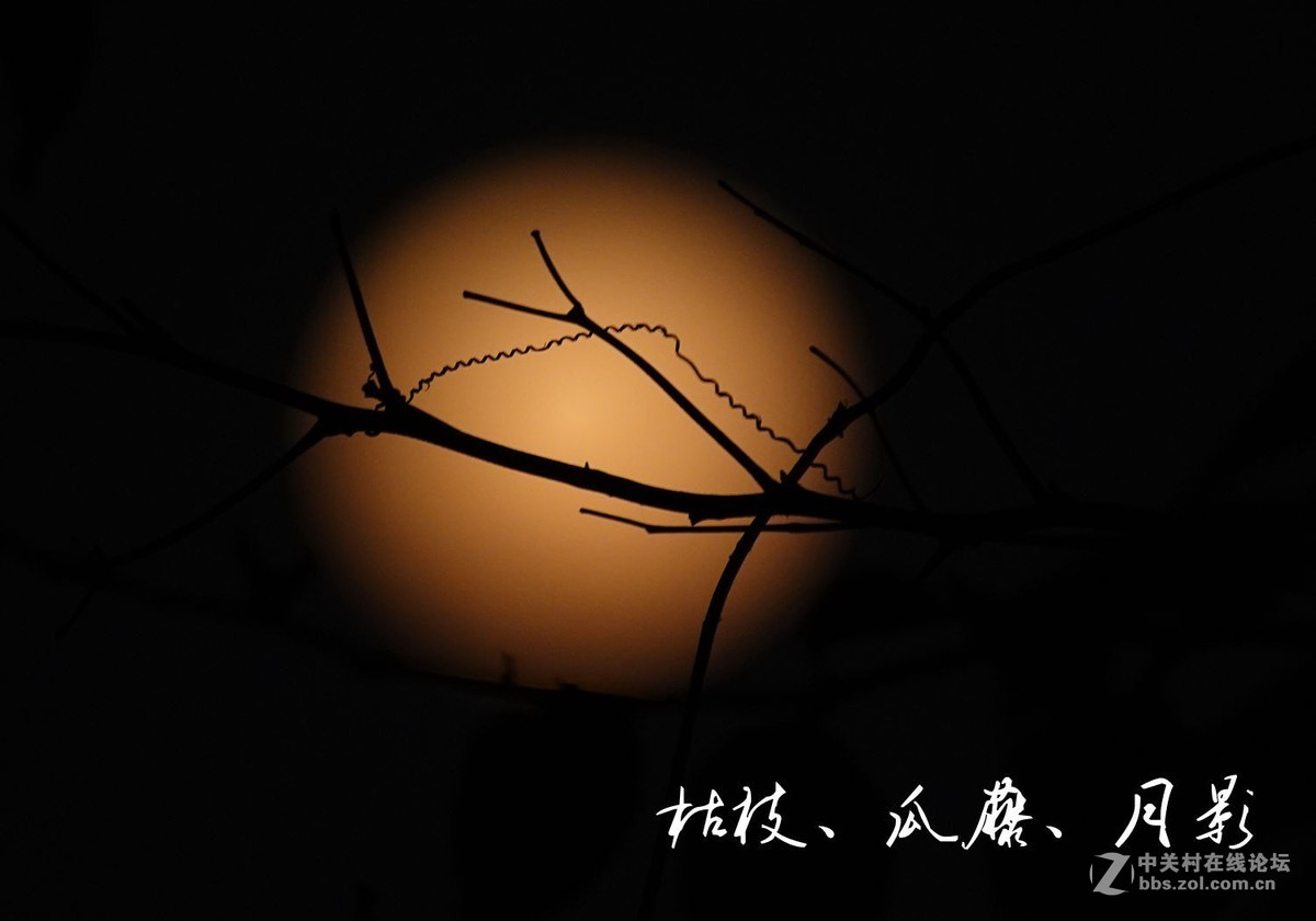 农历十二月十六月影