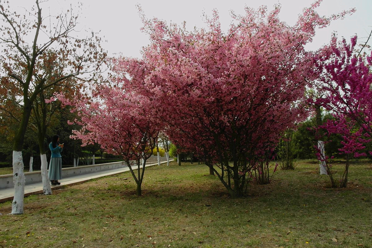 EX1-『春天里-结束篇』123...12P