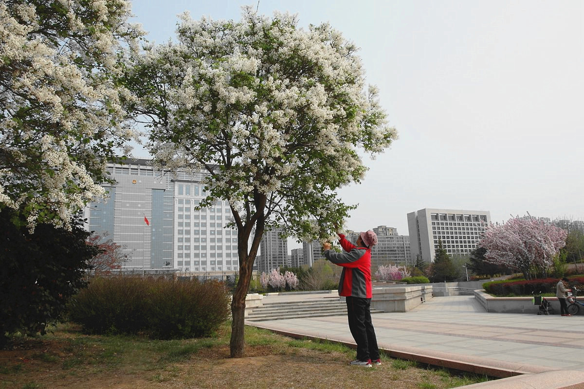 EX1-『春天里-结束篇』123...12P