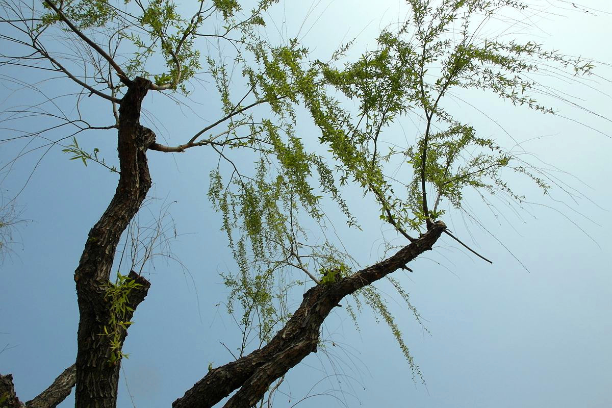 EX1-『春天里-结束篇』123...12P