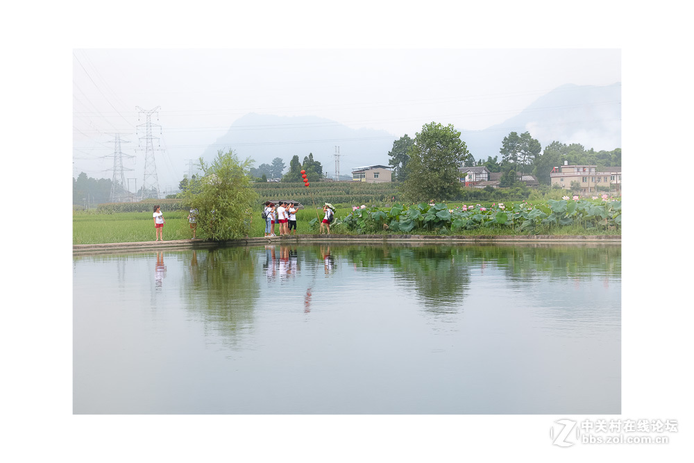 组照《是谁  偷走了我的心》