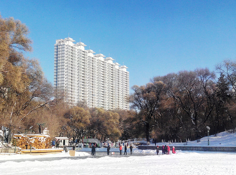 公园雪后小拍