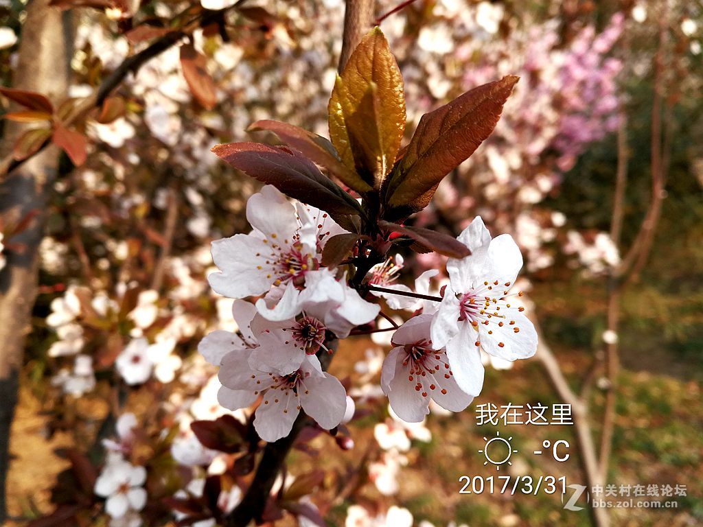 华为mate9上班途中随拍