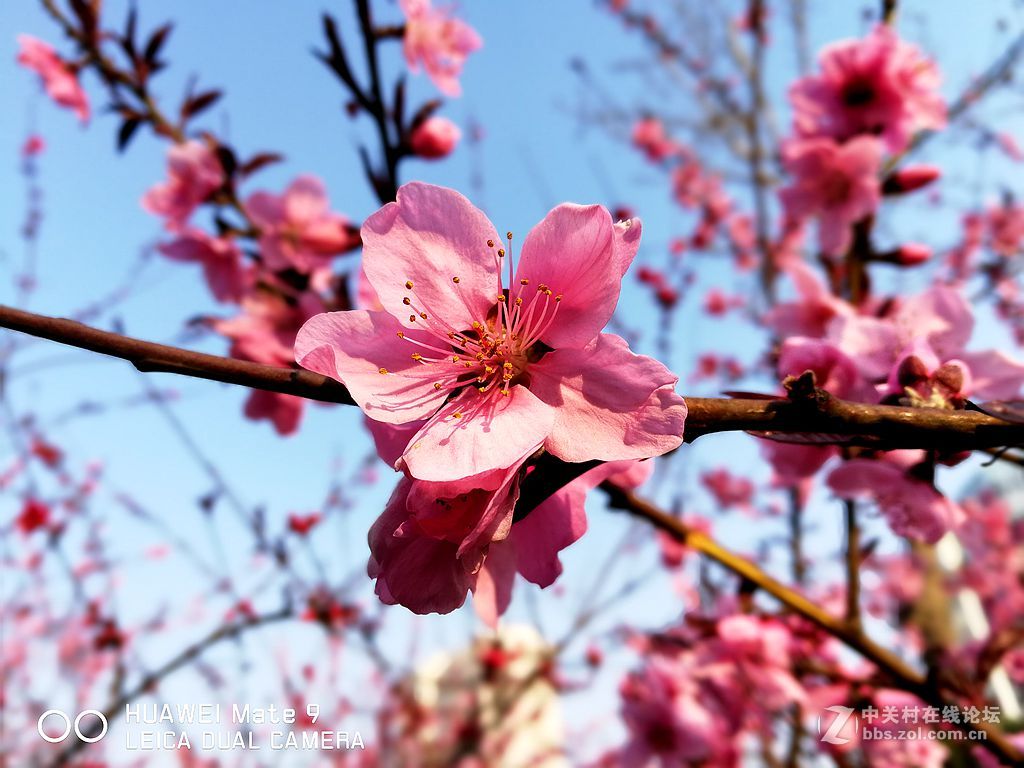 华为mate9上班途中随拍