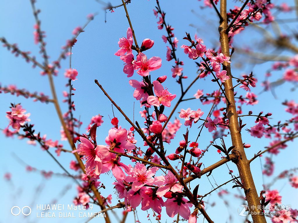 华为mate9上班途中随拍