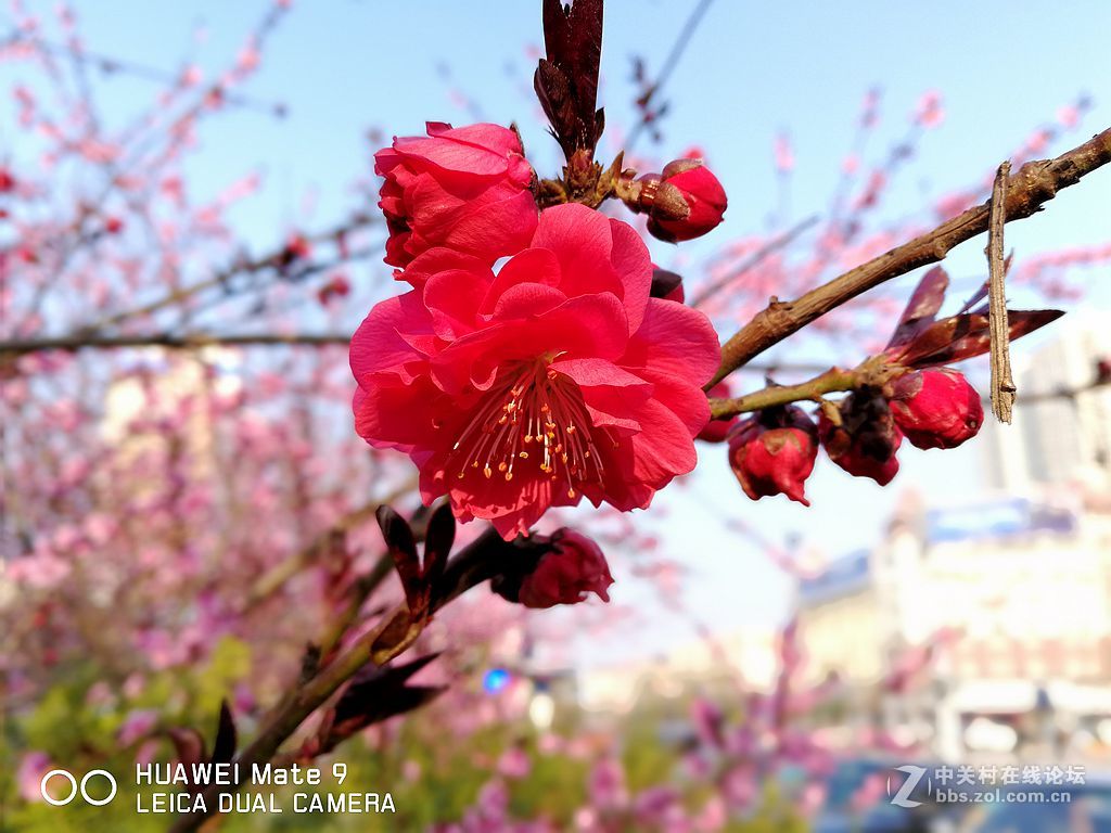 华为mate9上班途中随拍