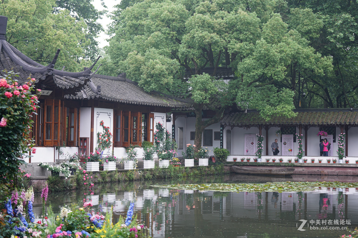 东坡堤下水如天满架蔷盛一院香