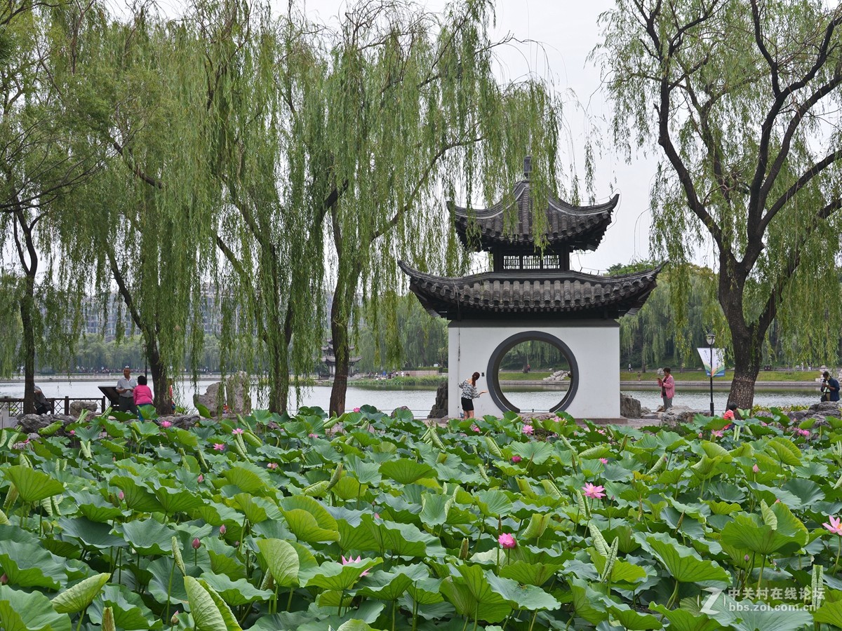 哪顾头顶纷纷雨，附庸风雅拍名亭