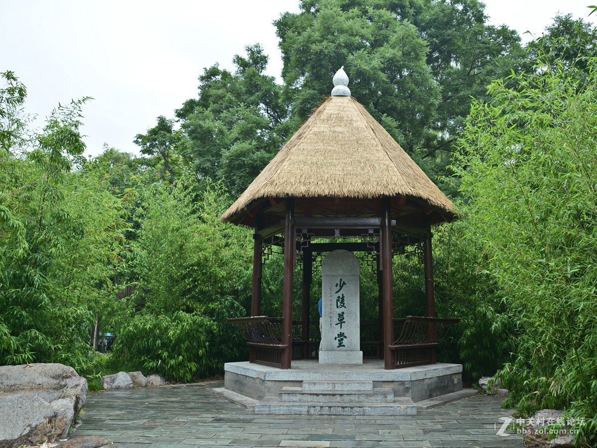 哪顾头顶纷纷雨，附庸风雅拍名亭