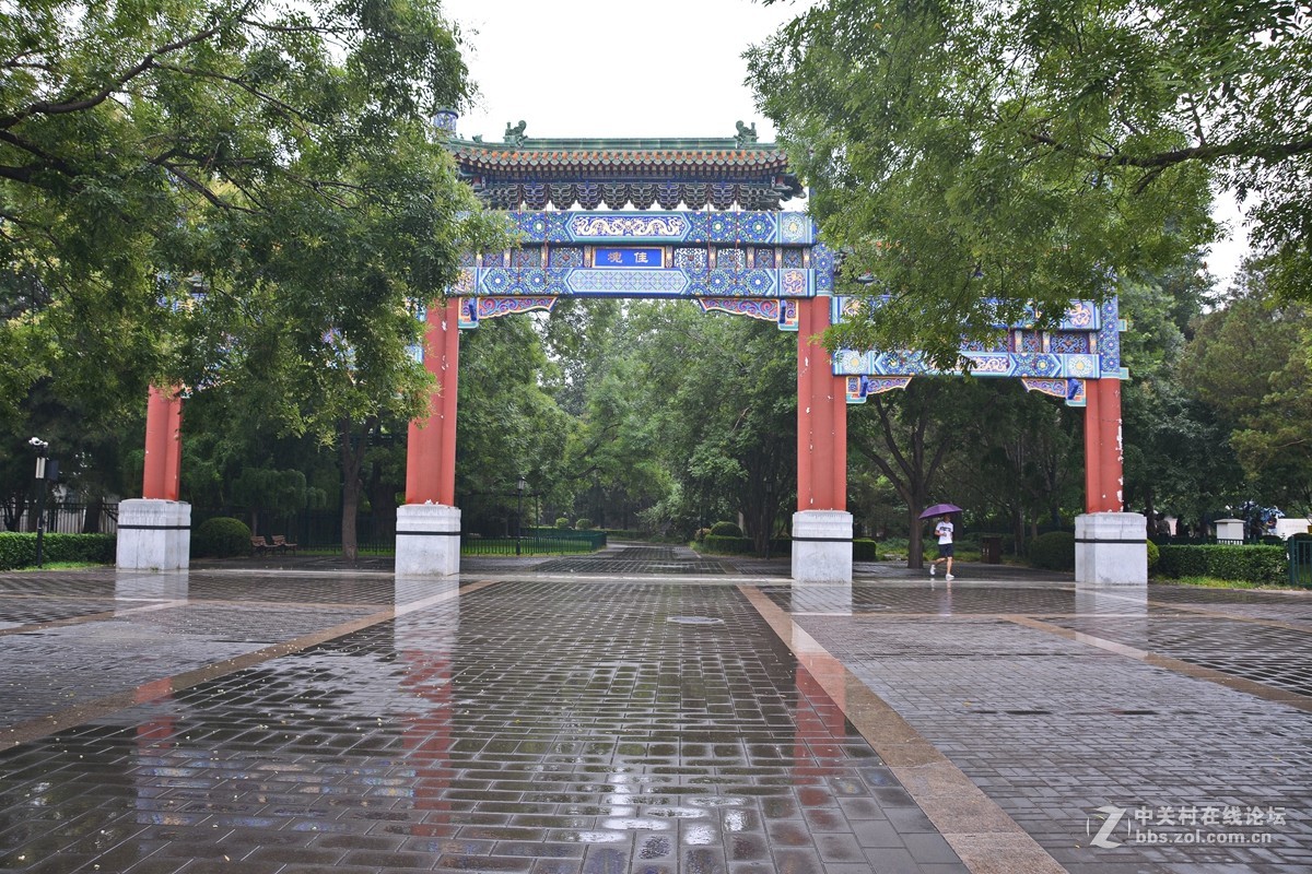哪顾头顶纷纷雨，附庸风雅拍名亭
