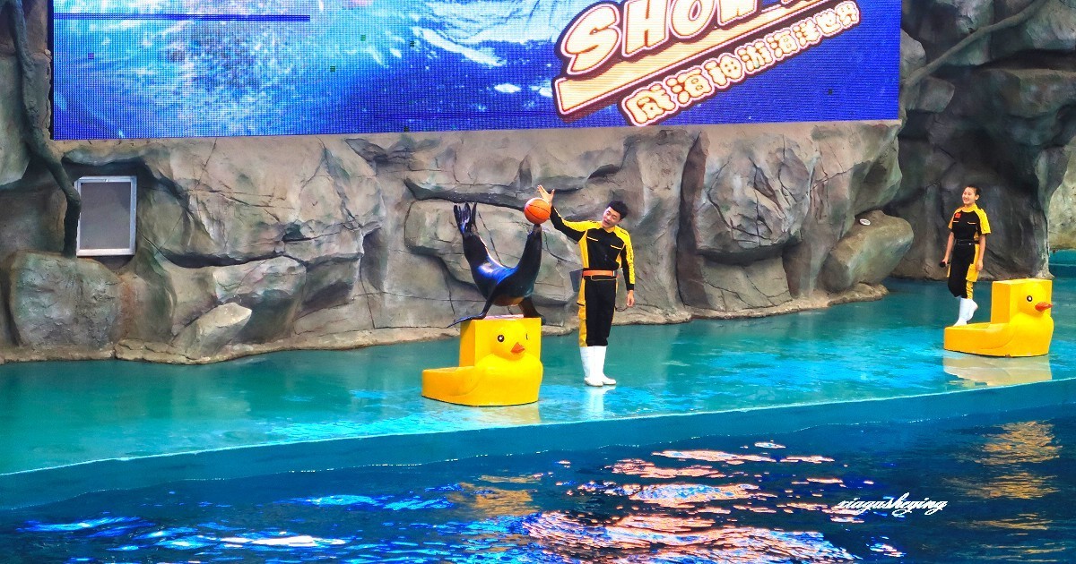 胶东半岛行（蓬莱海洋世界）