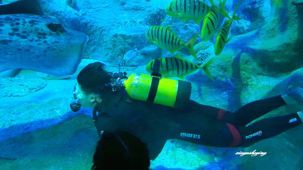 胶东半岛行（蓬莱海洋世界）