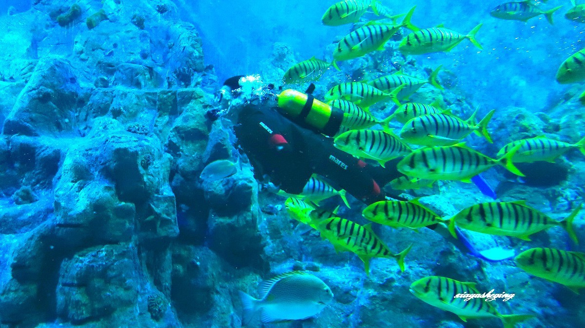 胶东半岛行（蓬莱海洋世界）