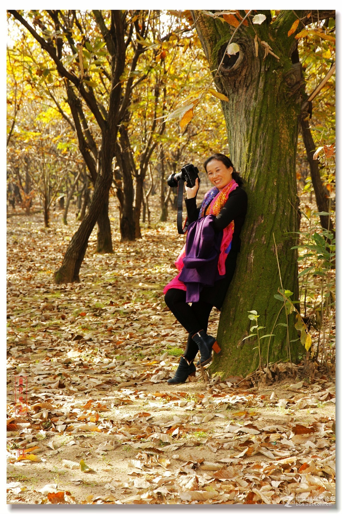 邳州板粟树下人像