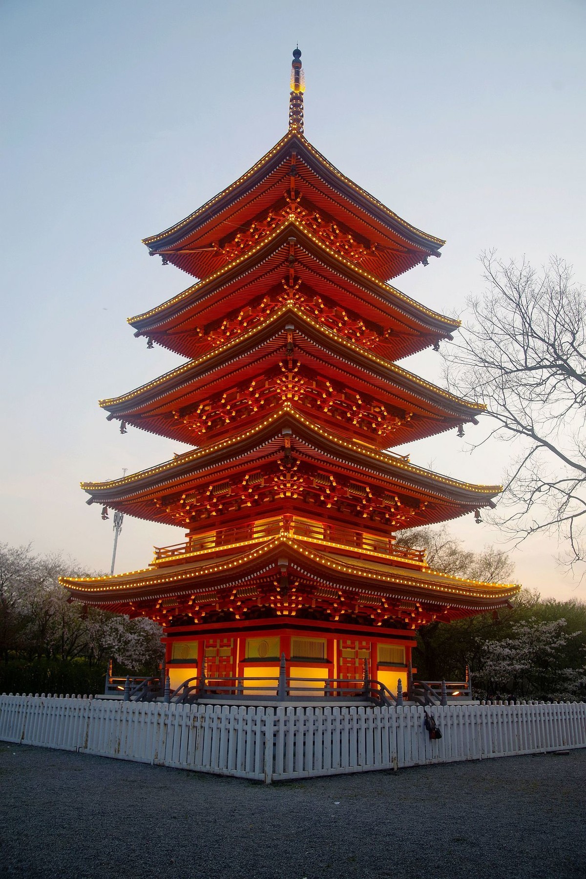 武汉印象阳春三月东湖樱花盛开之夜