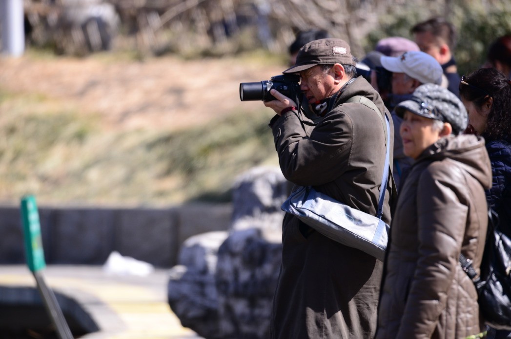 新入此头，还是老地方动物园试镜