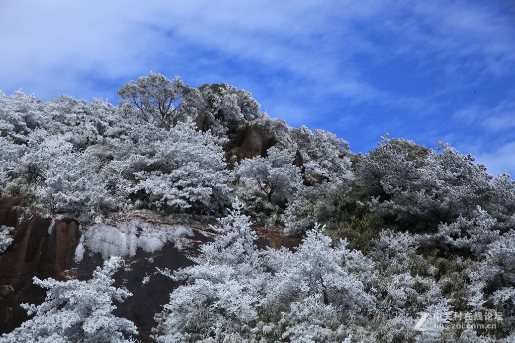 福建九仙山的雾凇五