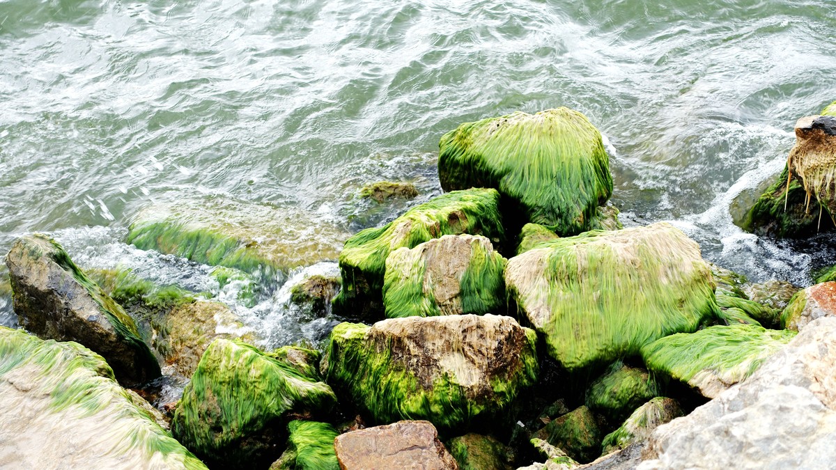 洱海风光（阴天拍摄）