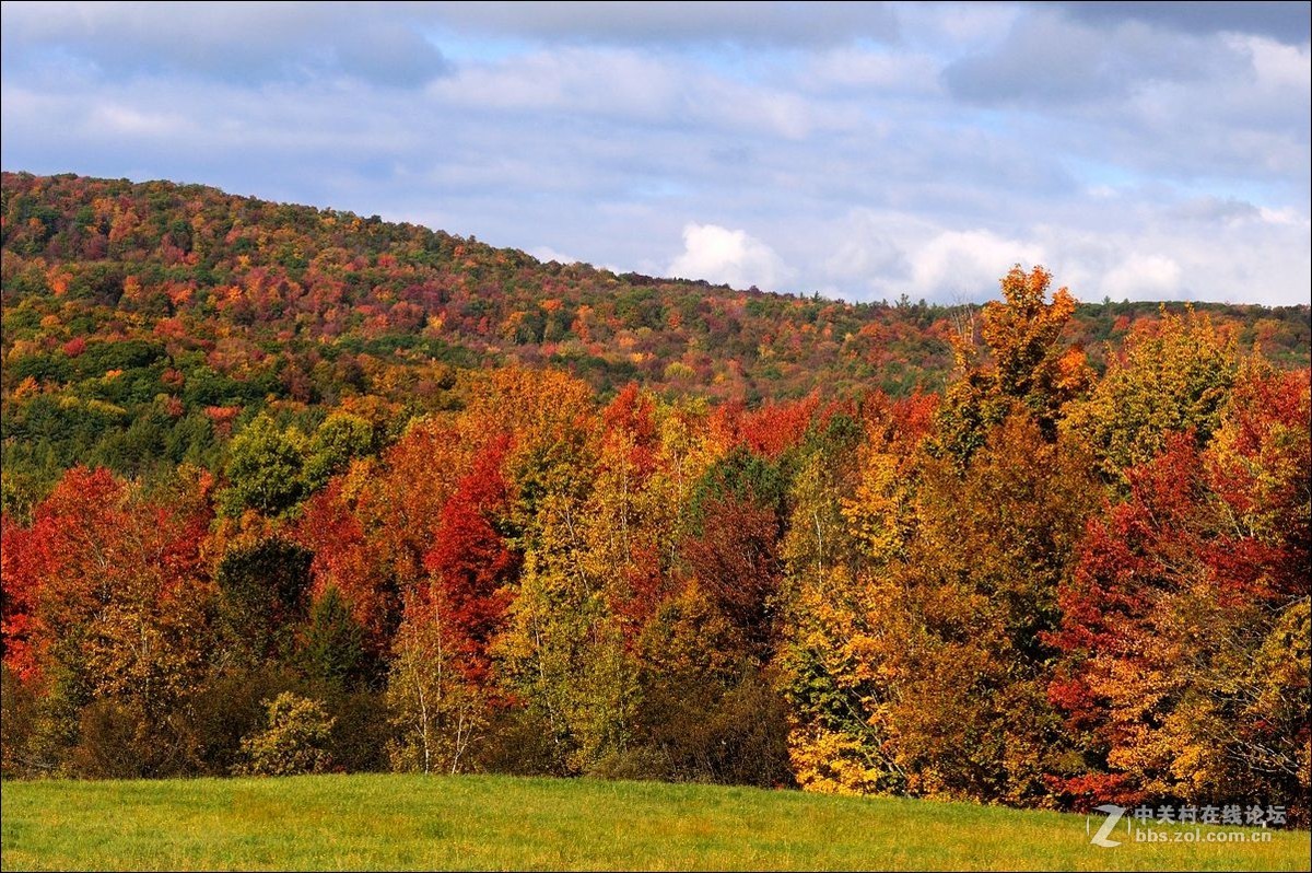 休闲随拍（328）