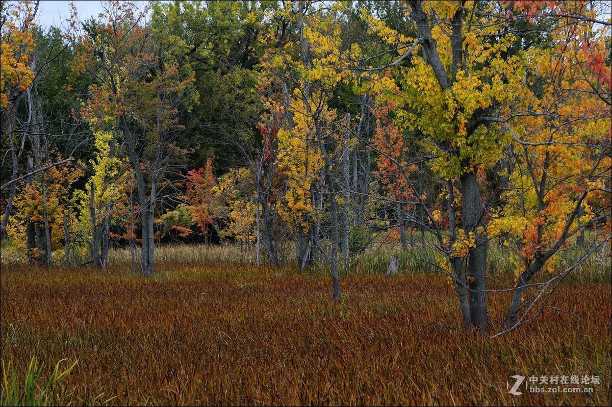 休闲随拍（328）