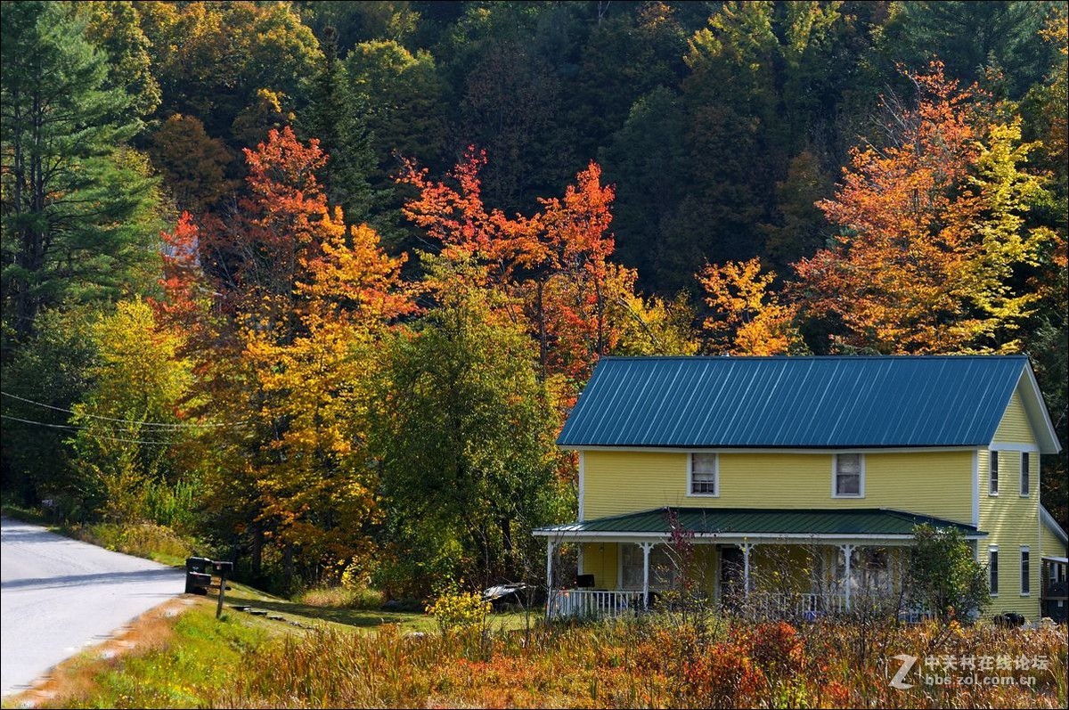 休闲随拍（328）