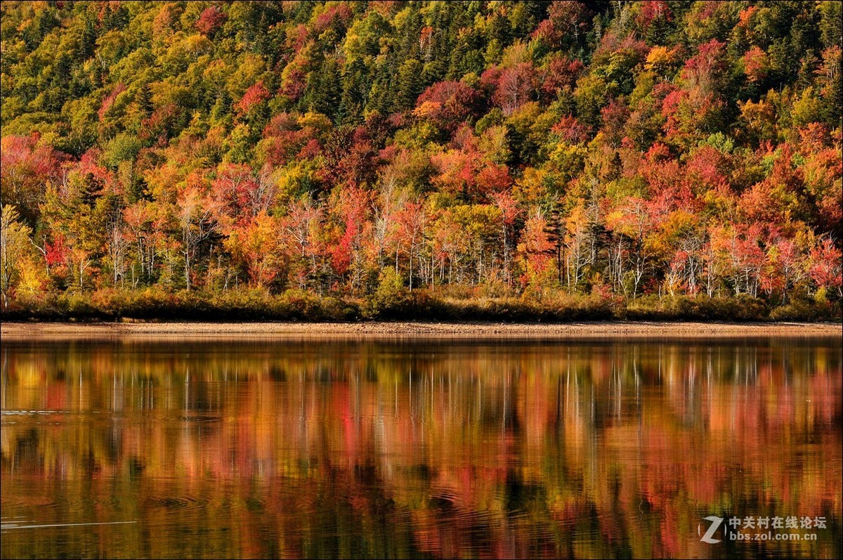 休闲随拍（328）