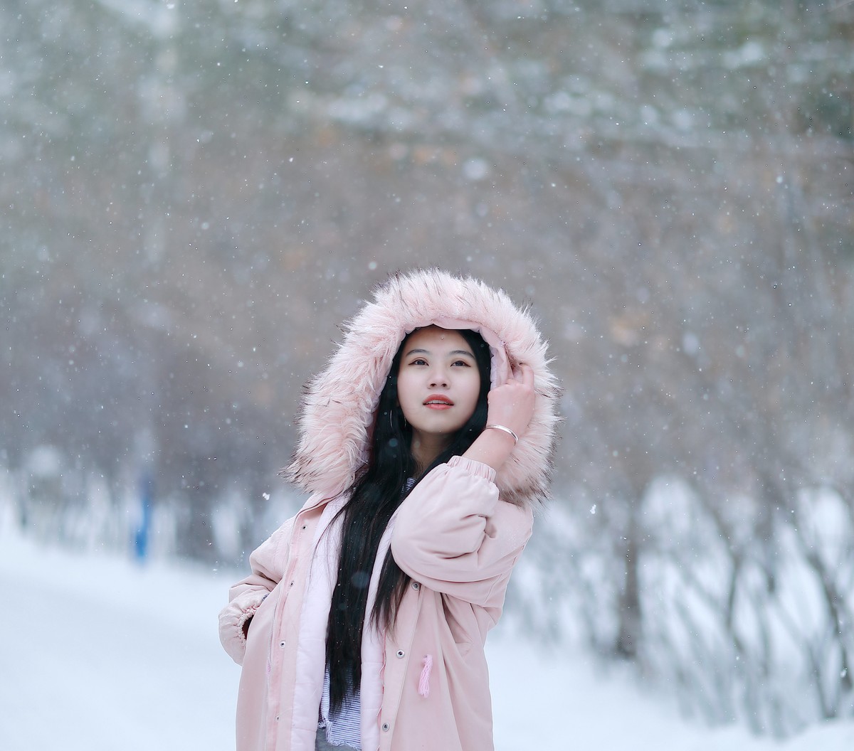 来串门看望好友