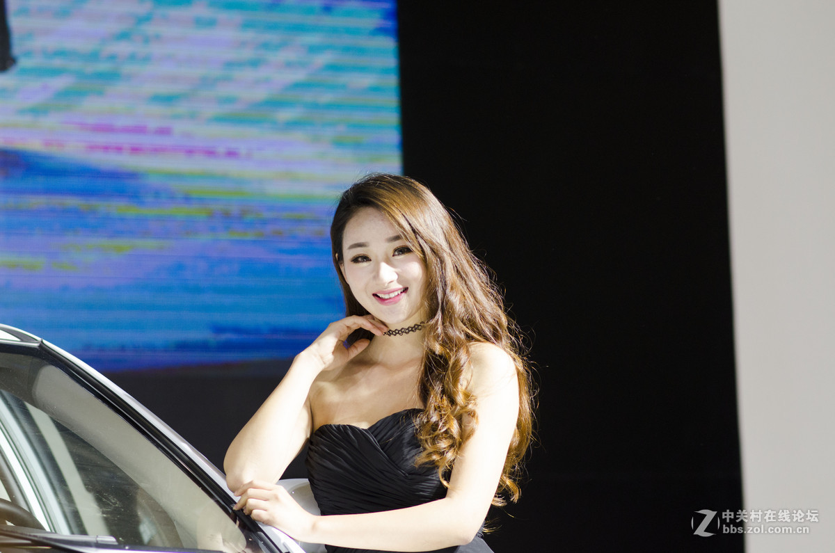 2016南京新能源车展上的比亚迪车模