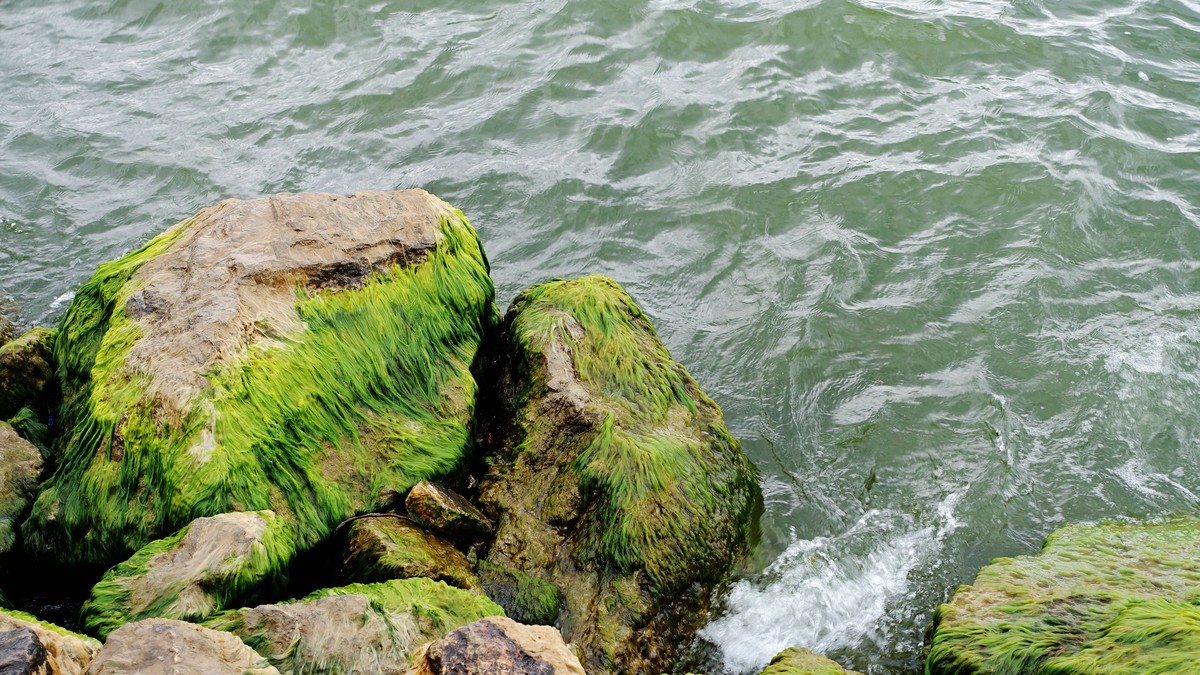 洱海风光（阴天拍摄）