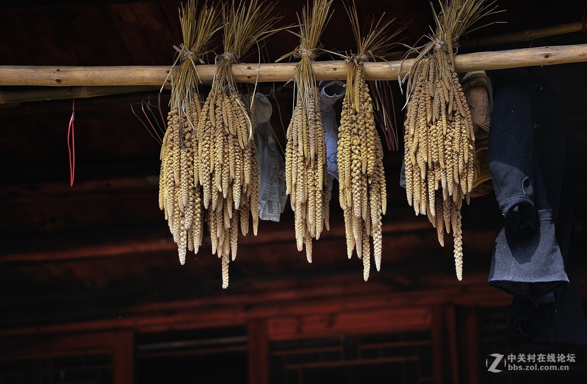 苗乡游拍（70P）