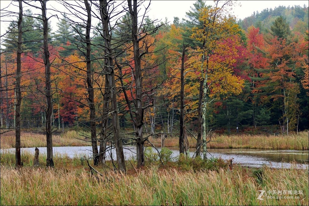 休闲随拍（328）