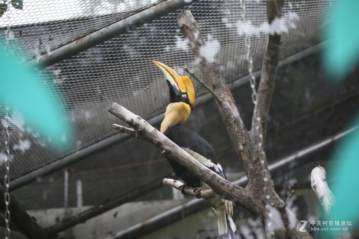 老镜头的一点贡献