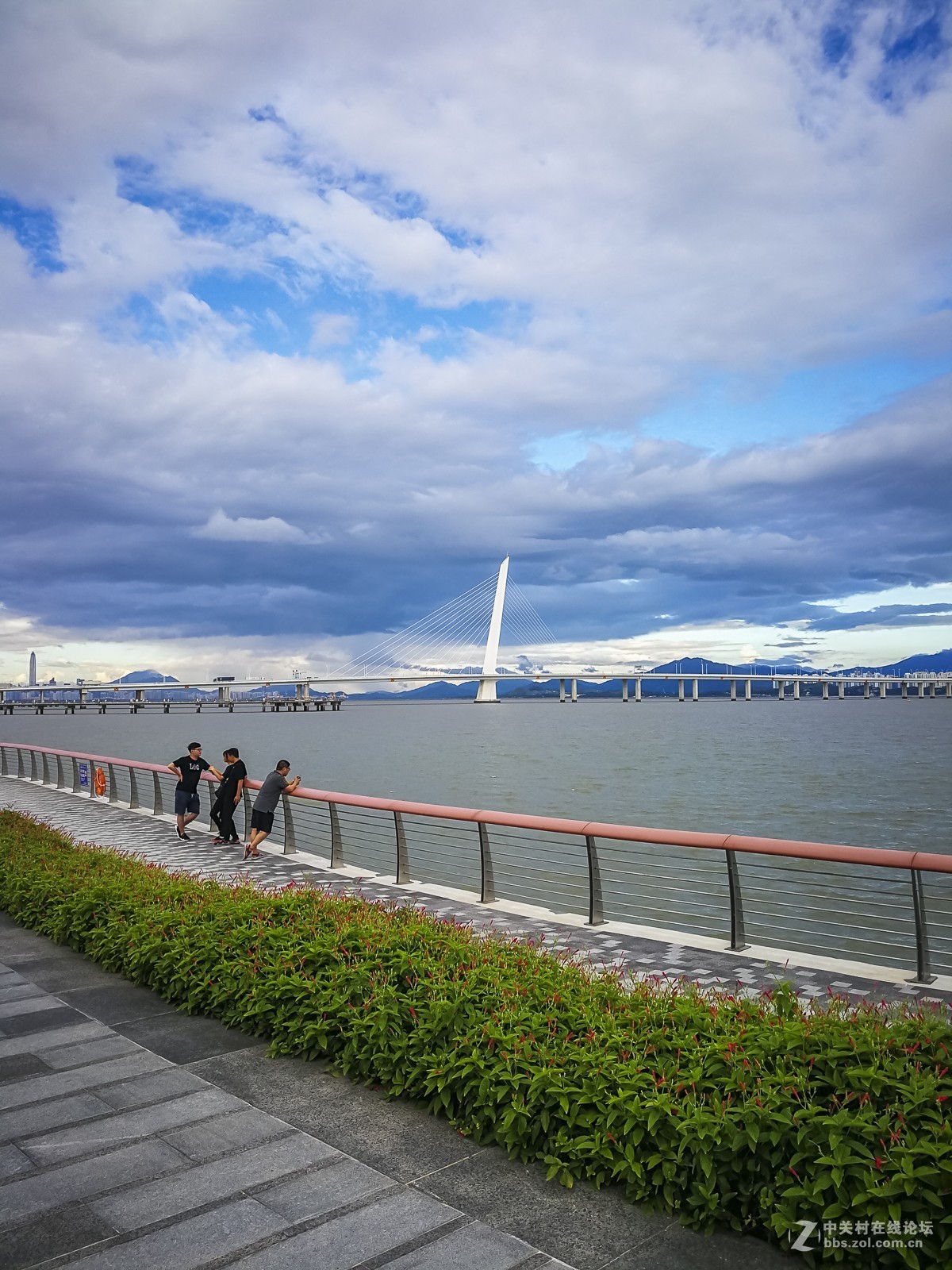 深圳湾运动公园~掠影