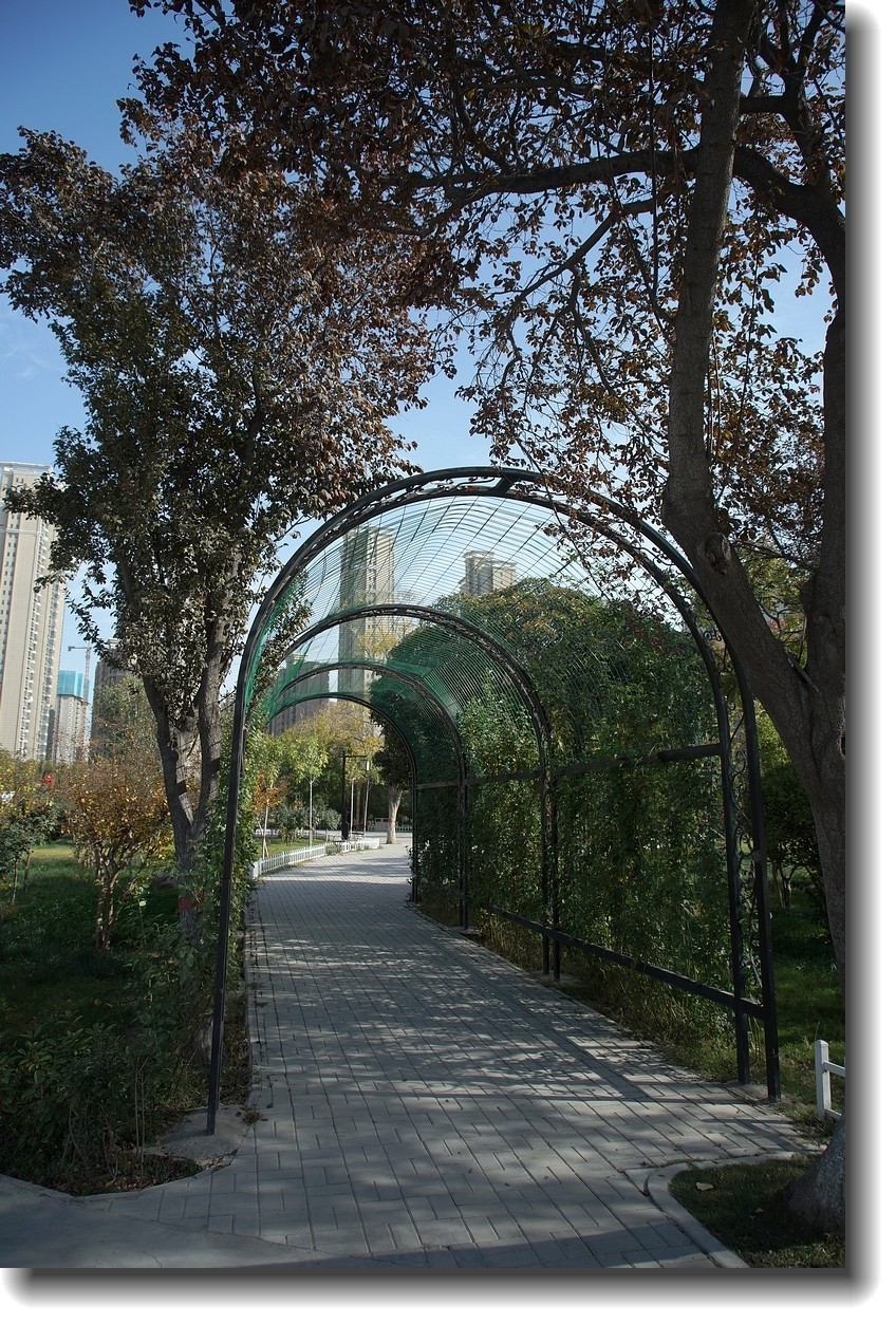 【秋高气爽】--恭贺老王玩摄影老友荣任[天津星空(中国)]版主!