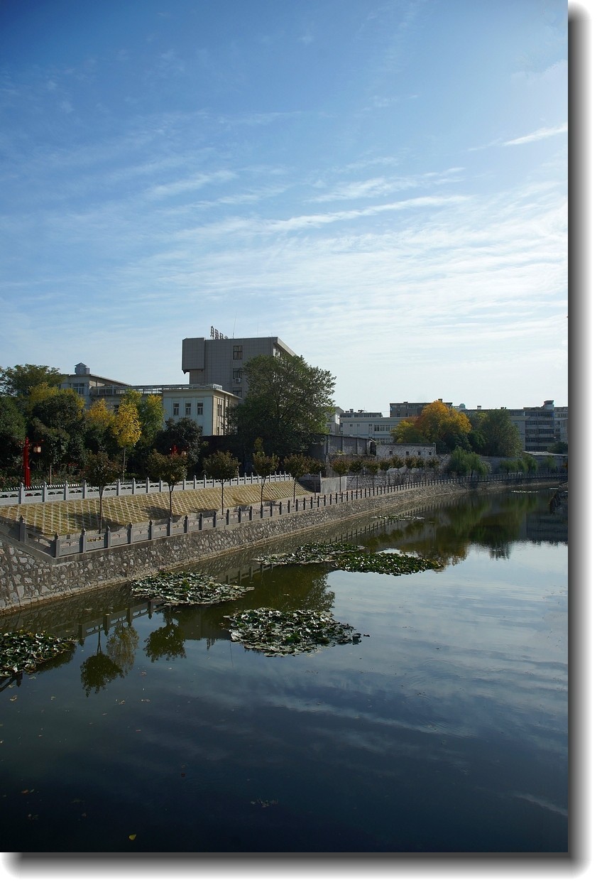 【秋高气爽】--恭贺老王玩摄影老友荣任[天津星空(中国)]版主!