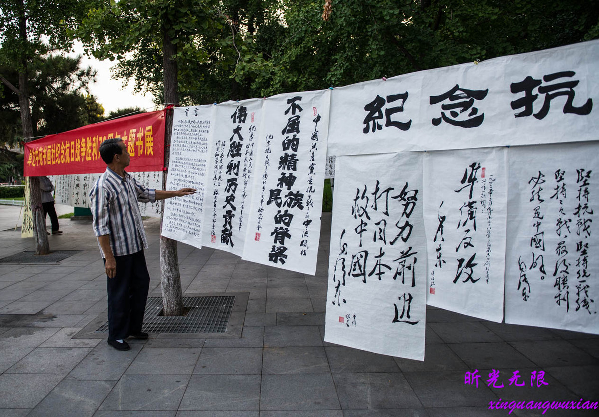 纪念中国人民抗日战争暨世界反法西斯战争胜利70周年书法展-中关村在线摄影论坛