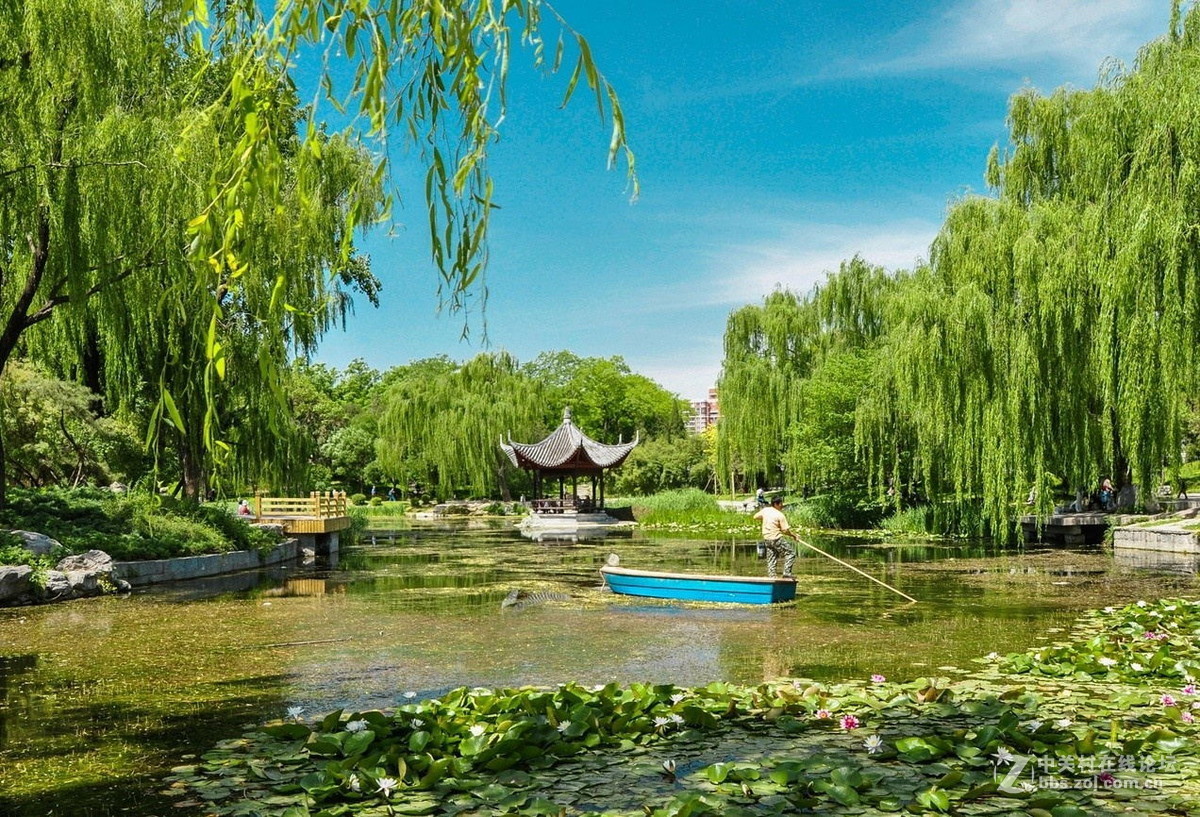 北京风景优雅的陶然亭公园