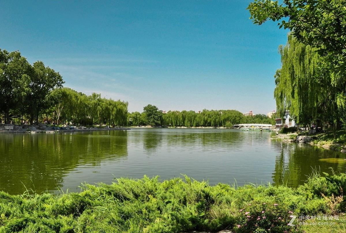 北京风景优雅的陶然亭公园