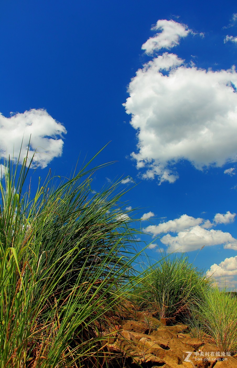 #佳能月赛-金秋十月#——游龙虎山碧水丹霞，看千年悬棺升官发财。