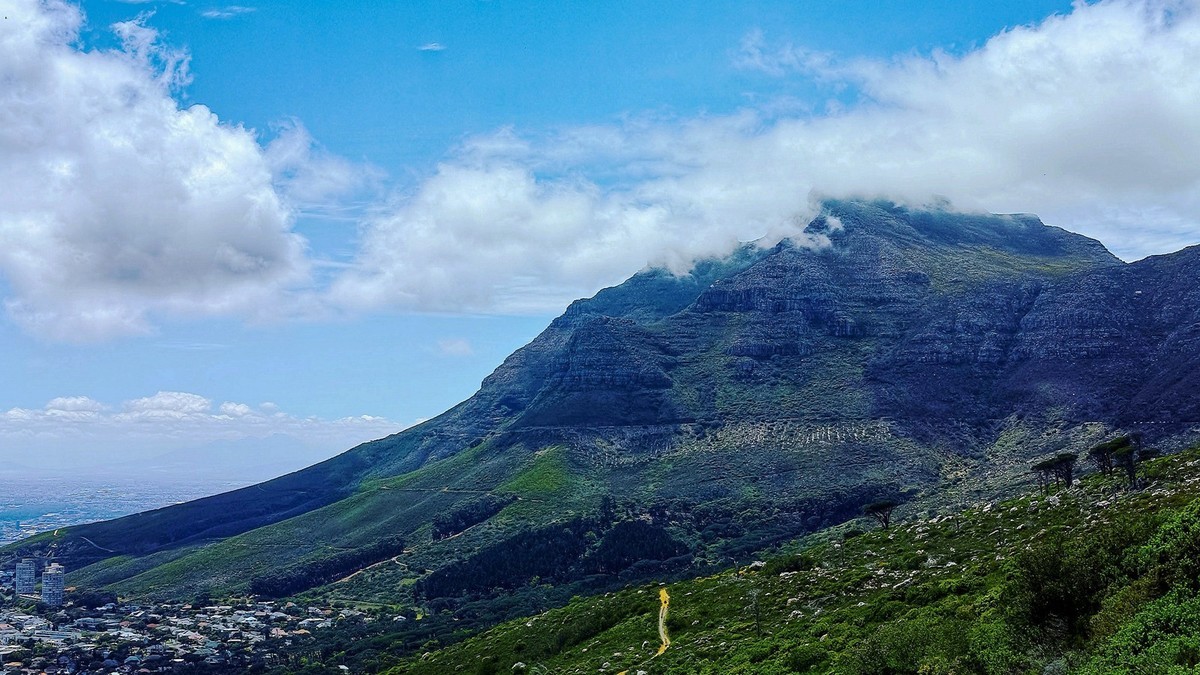 开普敦桌山国家森林公园