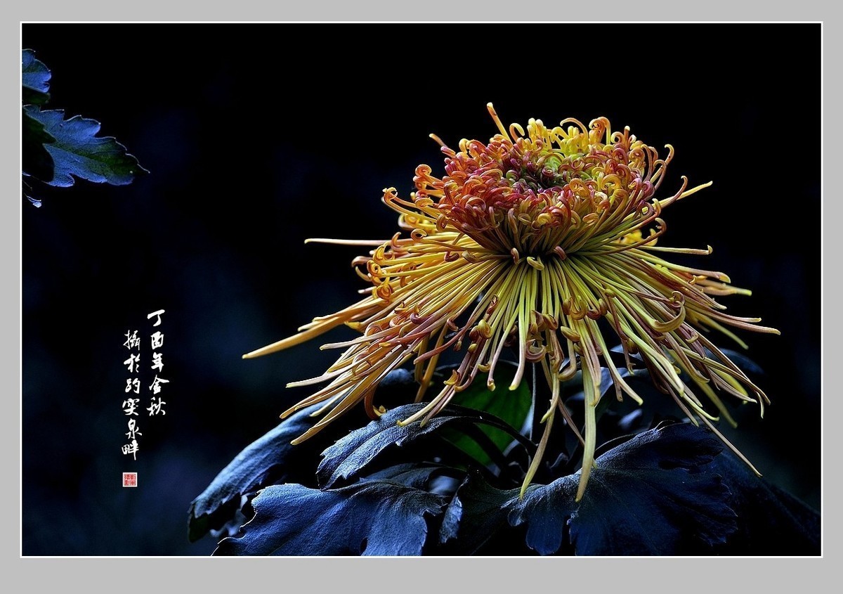 #版主坐堂#2018年3月份《承德》优秀作品选辑