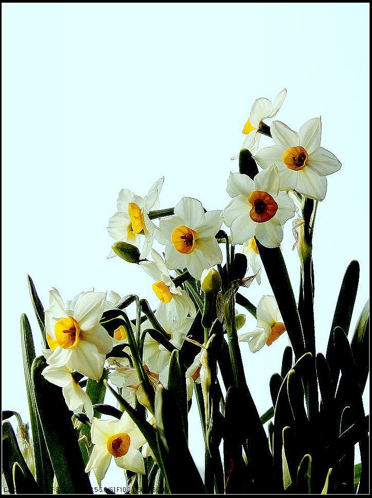 #版主坐堂#2018年3月份《承德》优秀作品选辑